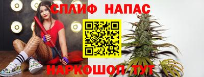 мяу мяу мука Малгобек