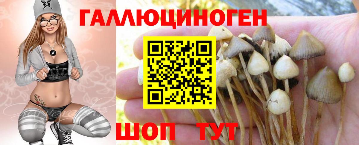 Сочи  Галлюциногенные грибы Psilocybe  Вход с VPN 